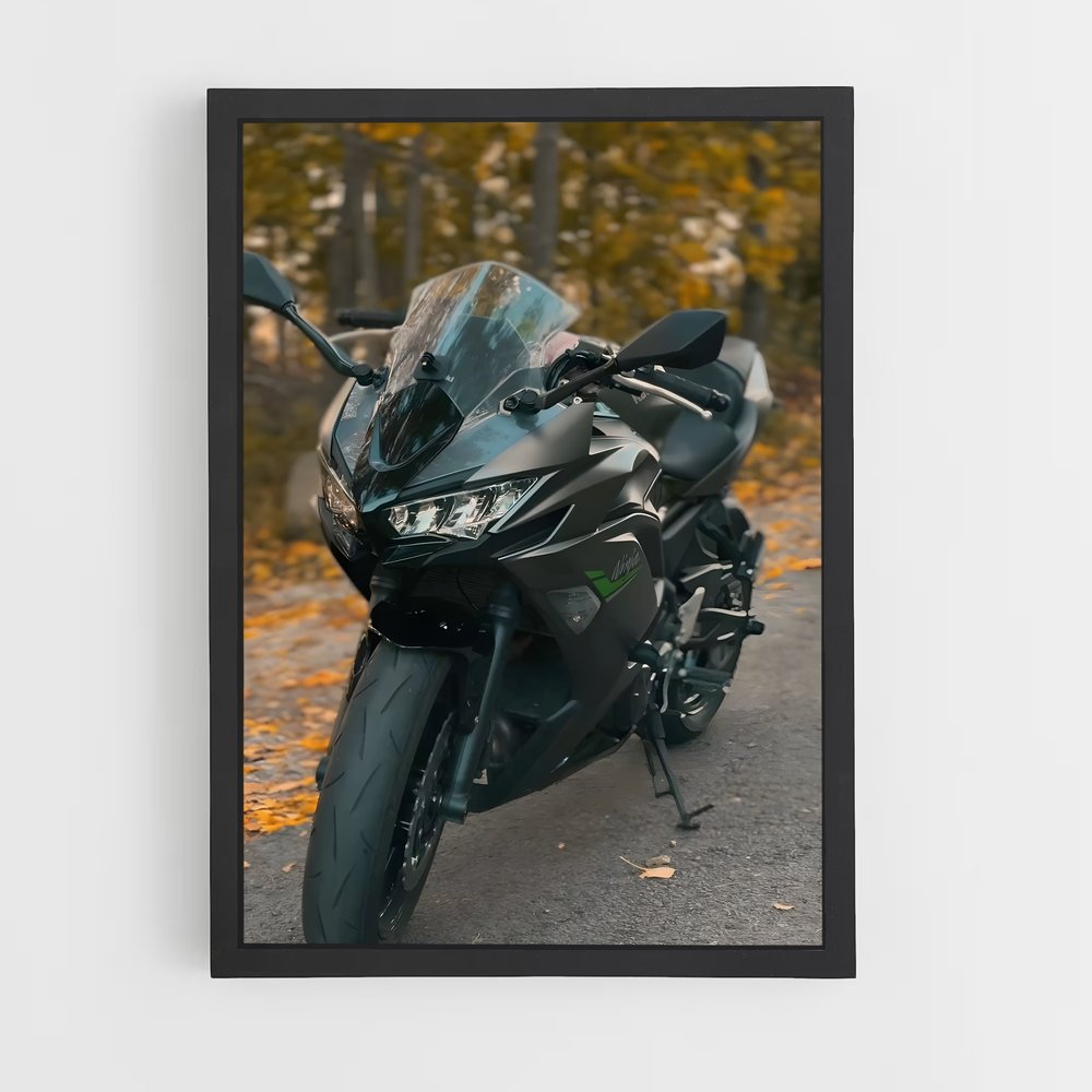 Poster Ninja Incroyable (vue 2)